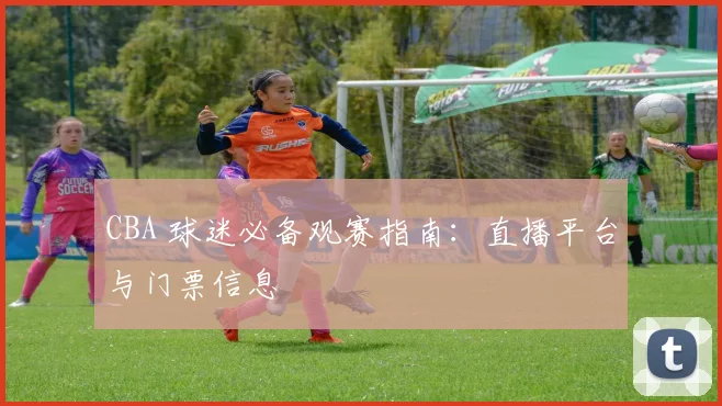 CBA 球迷必备观赛指南：直播平台与门票信息