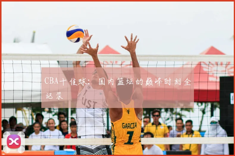 CBA十佳球:国内篮坛的巅峰时刻全记录